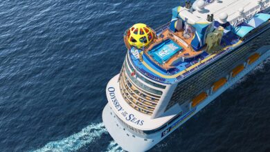 eBlue_economy_More 40 New Cruise Ships Could Debut 2021