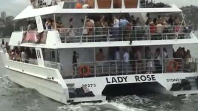 eBlue_economy_Lady_rose_cruise