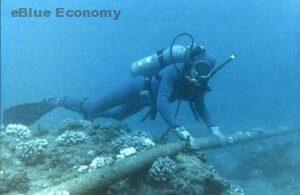 eBlue_economy_Submarine-communications-cable