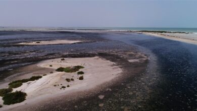 IeBlue_economy_identifying coastal and marine priority areas for conservation in the United Arab Emirates