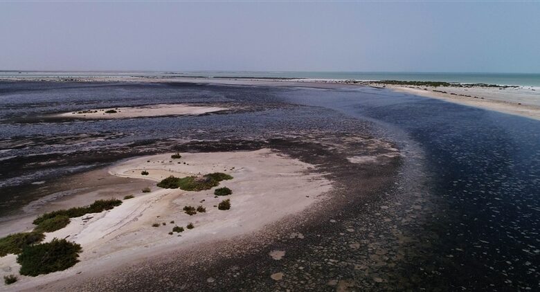 IeBlue_economy_identifying coastal and marine priority areas for conservation in the United Arab Emirates