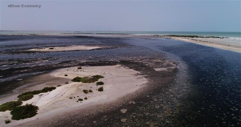 IeBlue_economy_identifying coastal and marine priority areas for conservation in the United Arab Emirates