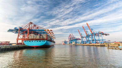 eBlue_economy_South Carolina Ports records strongest monthly volumes in its history