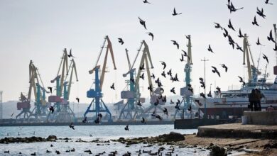 eBlue_economy_تسرب مازوت إثر اصطدام سفينة صينية بعوامة في ميناء ساخالين الروسي