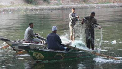 eBlue_economyصيد السمك فى نهر النيل