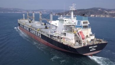 eBlue_econarriers establish a joint venture company and plan to jointly operate a handysize drybulk poolomy