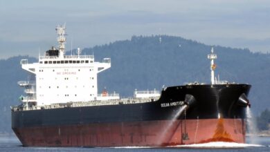 eBlue_economy_Diana Shipping Inc. Announces the Acquisition of a Kamsarmax Dry Bulk Vessel
