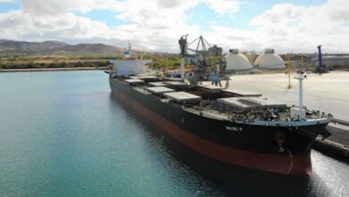 eBlue_economy_ Castor Maritime to take over Japanese-built Panamax dry bulk carrier