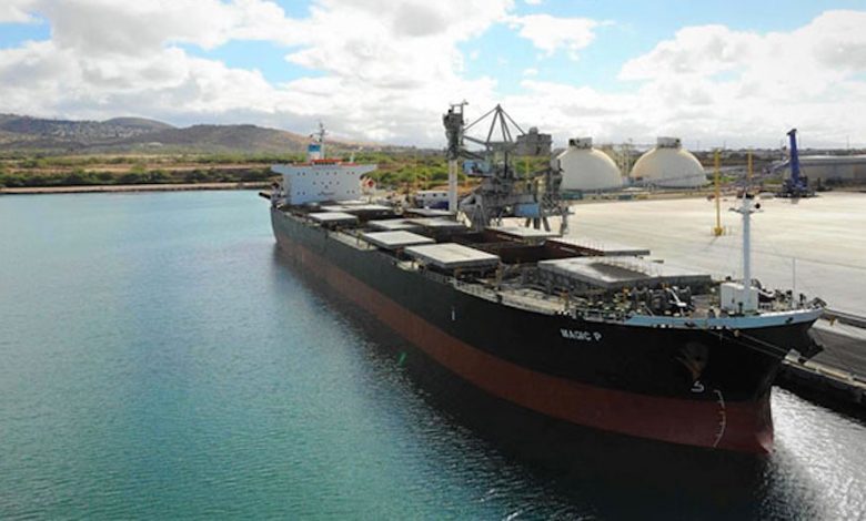 eBlue_economy_ Castor Maritime to take over Japanese-built Panamax dry bulk carrier