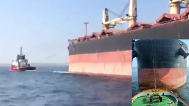 eBlue_economy_Bulk carrier disabled, towed to anchorage, Istanbul VIDEO