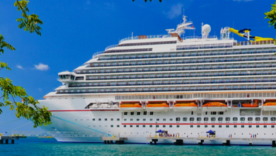eBlue_economy_ 2021 State of the Cruise Industry_optimized