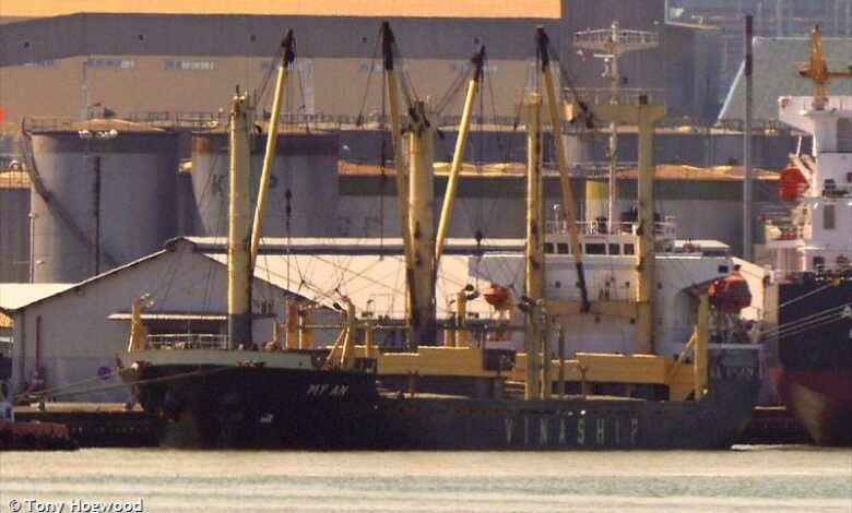 eBlue_economy_Cargo ships collided at Vung Tau anchorage, one sank