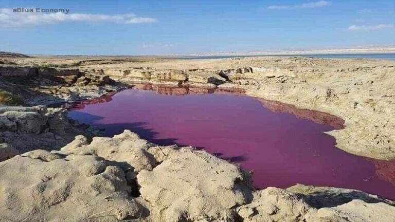 eBlue_economy_الأردن.. الكشف عن سبب تلون بركة مياه قرب البحر الميت باللون الأحمر (فيديو)