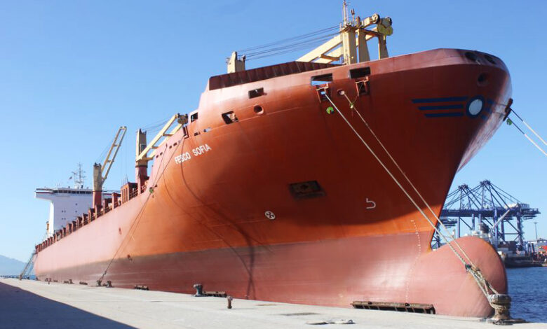 eBlue_economy_Container ship FESCO Sofia joins the FESCO fleet