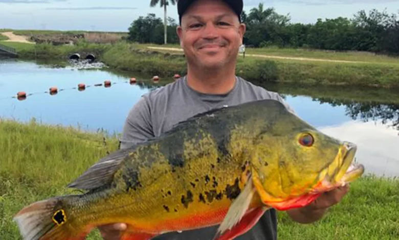 eBlue_economy_Fisherman breaks nearly 30-year-old record in Florida