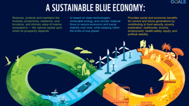 eBlue_economy_ EMSA 5 Year Strategy 2020_2024 PDF