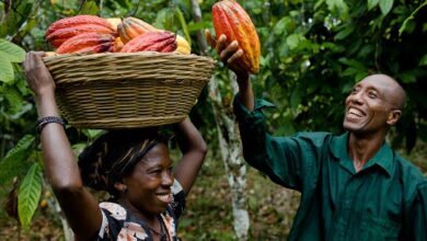 eBlue_economy_Cargill completes US$100M cocoa processing expansion in Côte d’Ivoire,