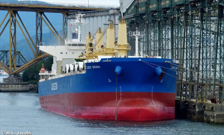 eBlue_economy_Master of bulk carrier killed in his cabin by a cook, in the Indian ocean