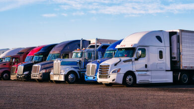 eBlue_economy_Trucker shortage hit Biden_ port operations plan
