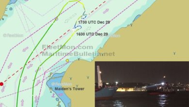 eBlue_economy_Cargo ship disabled near Maiden’s Tower, Bosphorus