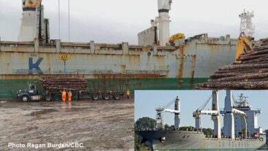 eBlue_economy_Chinese freighter arrested in Canada