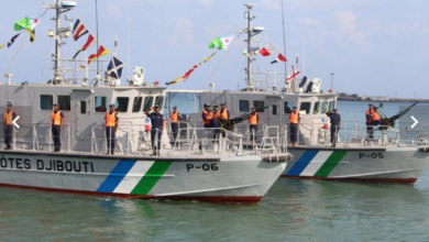 eBlue_economy_Japan extends $26m in grant aid to boost Djiboutian maritime security