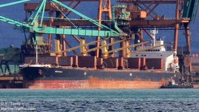 eBlue_economy_Surveyor fell descending from anchored bulk carrier, died