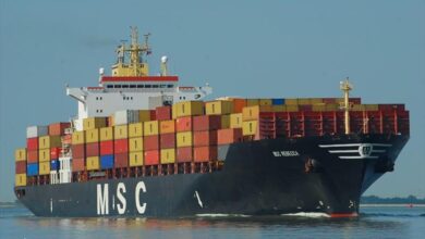 eBlue_economy_MSC container ship troubled in Shenzhen by positive tests and blackout