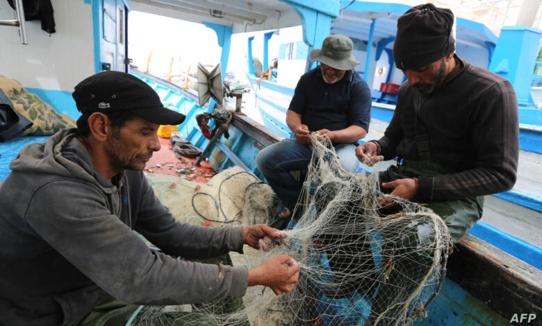 eBlue_economy_وزير الصيد التونسى يستعرض برنامج عمله حتى عام 2024 واطلاق الصالون الدولى للصيد البحرى