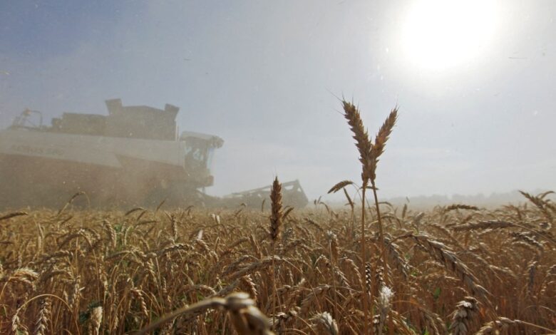 eBlue__economy_روسيا تستأنف تدريجياً صادرات القمح عبر البحر الأسود