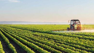 eBlue_economy_Billion-Dollar Boost for Farmers to Safeguard EU Food Security