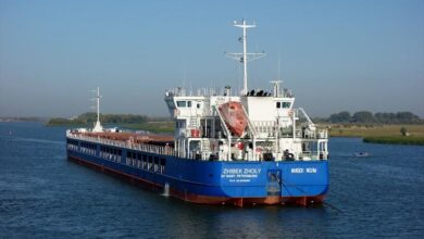 eBlue_economy_Cargo ship with grain from occupied Berdyansk identified
