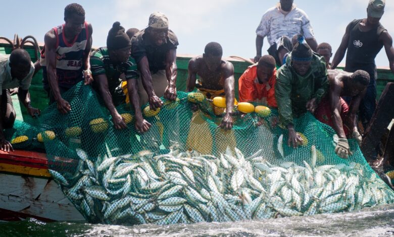 eBlue_economy_How illegal fishing off Cameroon’s coast worsens maritime security