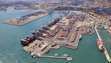 eBlue_economy_Adani Ports and Gadot to buy Israel’s Haifa Port for $1.18bn