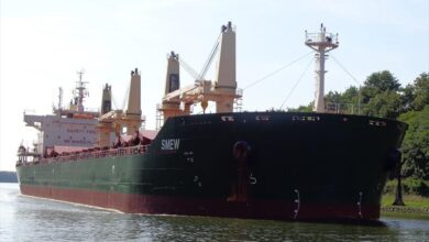 eBlue_economy_Canadian bulk carrier grounding, Colombia