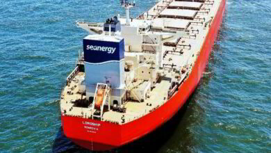 eBlue_economy_Dry Bulk Shipping_Breakwave+July+5+2022+Report PDF