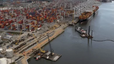eBlue_economy_GPA deploys Navis N4 terminal operating system at Port of Savannah
