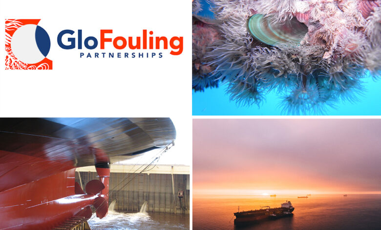 eBlue_economy_Panama joins GloFouling Partnerships to tackle aquatic invasive species introduced by ships’ biofouling