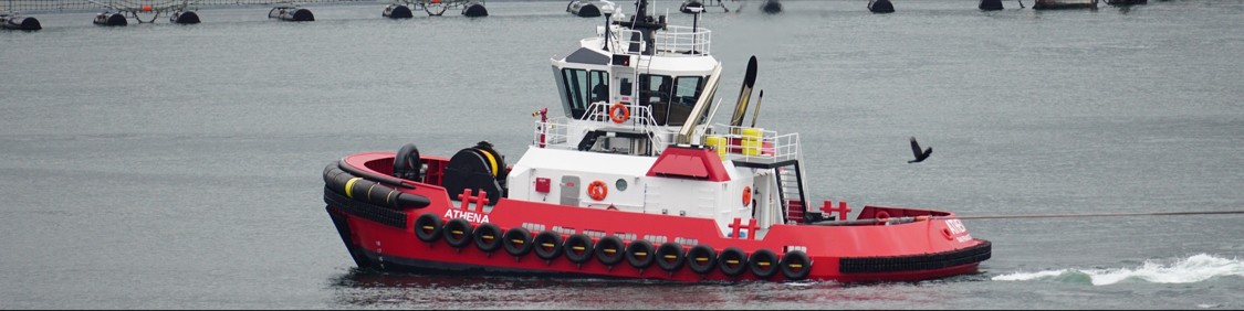 eBlue_economy_Tugs Towing & Offshore_Newsletter 96 2022 PDF