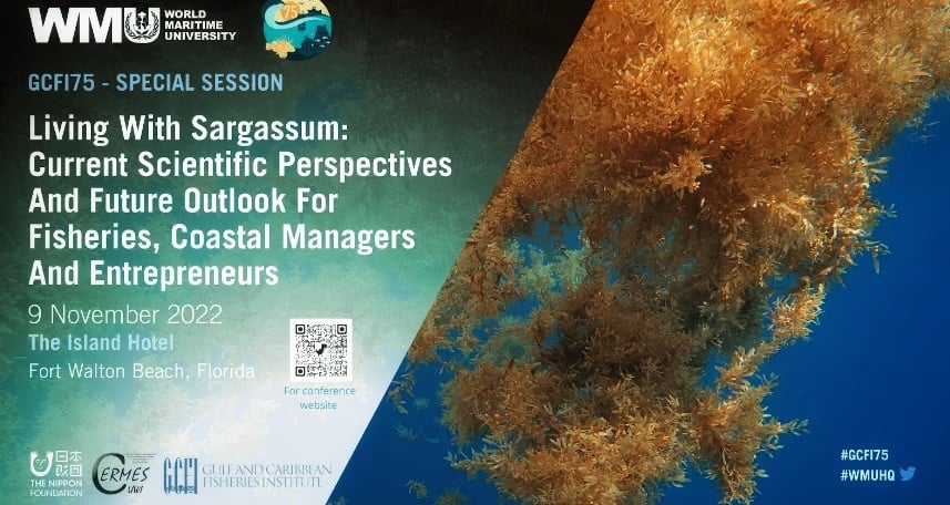 eBlue_economy_WMU Delivers Special Session on Sargassum at the 75th GCFI Conference